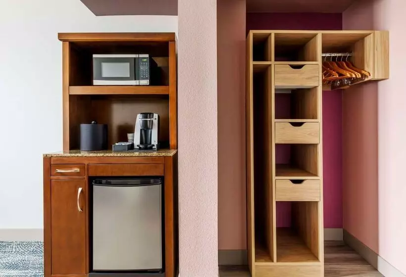 Fotos del hotel Hilton Garden Inn Orlando At Seaworld:  23