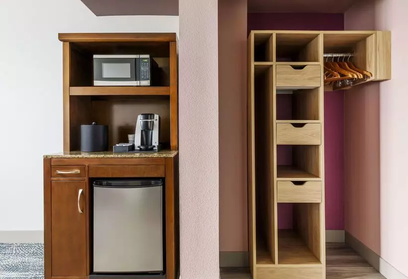 Fotos del hotel Hilton Garden Inn Orlando At Seaworld:  22