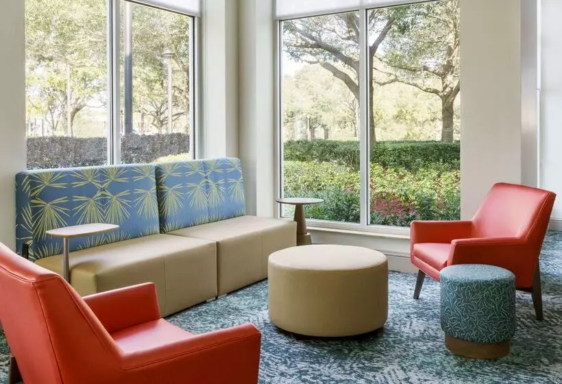 Fotos del hotel Hilton Garden Inn Orlando At Seaworld:  14