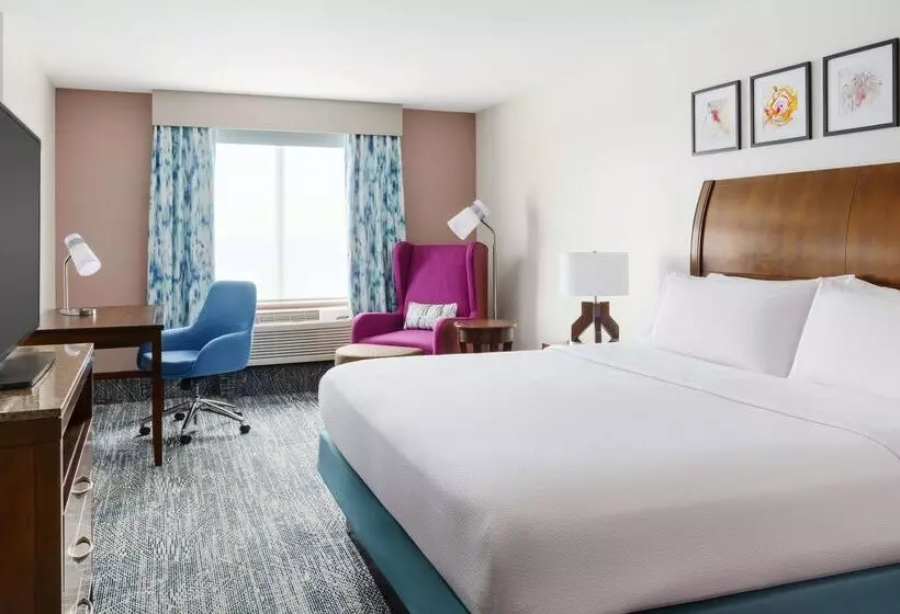 Fotos del hotel Hilton Garden Inn Orlando At Seaworld:  7