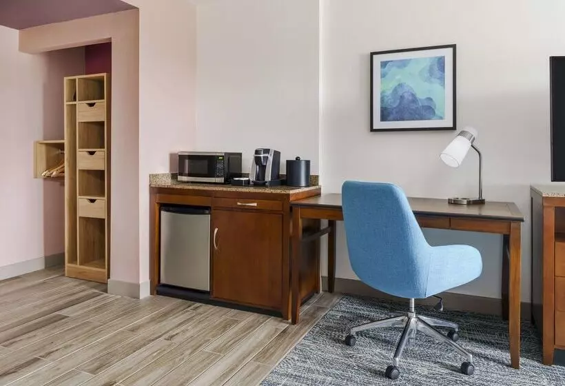 Fotos del hotel Hilton Garden Inn Orlando At Seaworld:  25