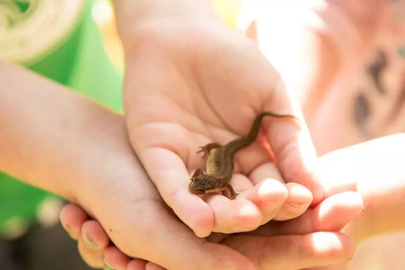 Fotos del hotel Radisson Blu Hotel And Spa, Limerick:  9