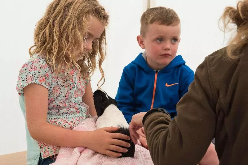 Fotos del hotel Radisson Blu Hotel And Spa, Limerick:  18