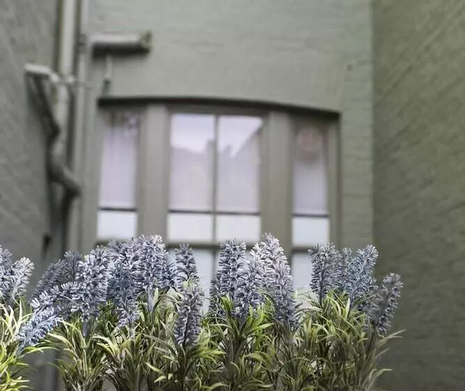 Fotos del hotel Vancouver Studios:  3