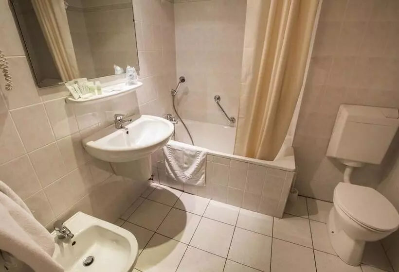 Fotos del hotel Hôtel Albion:  6