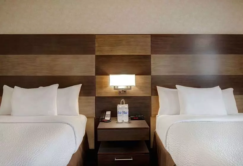 Fotos del hotel Days Inn By Wyndham Calgary South:  4