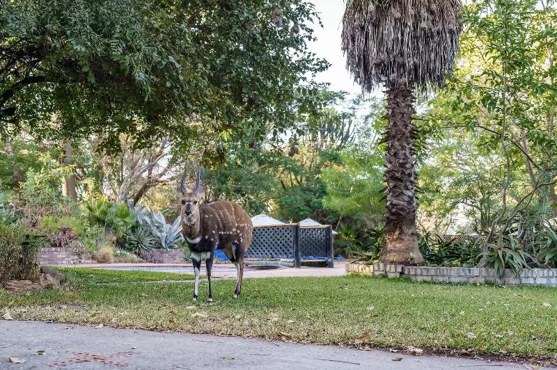 Fotos del hotel Protea Hotel Safari Lodge:  16