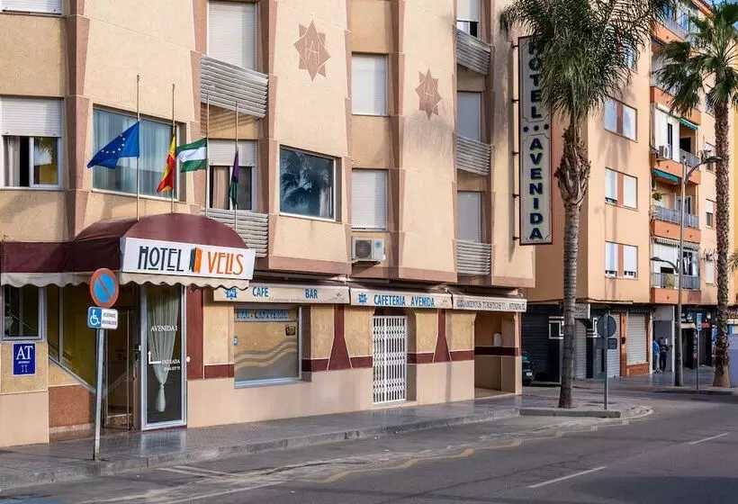Fotos del hotel Avenida:  20