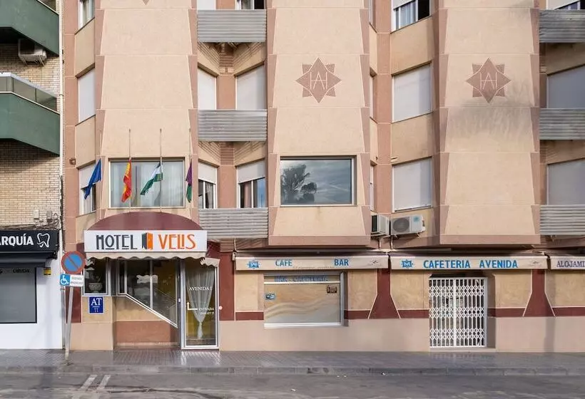 Fotos del hotel Avenida:  24