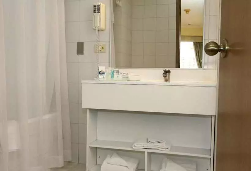 Fotos del hotel Gala Hotel & Centro De Eventos:  10