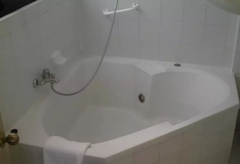 Fotos del hotel Gala Hotel & Centro De Eventos:  18