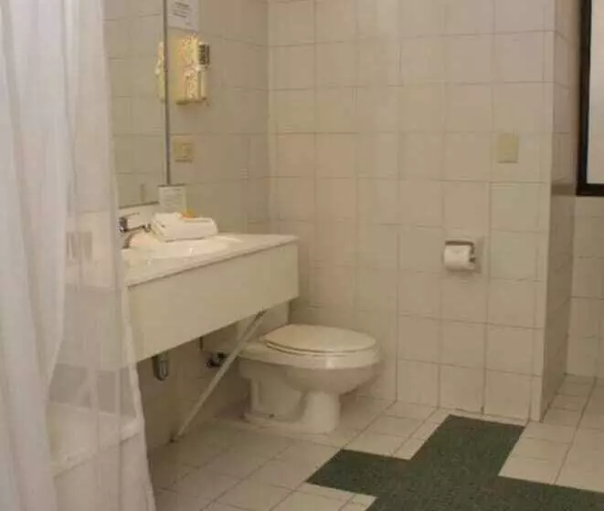 Fotos del hotel Gala Hotel & Centro De Eventos:  14