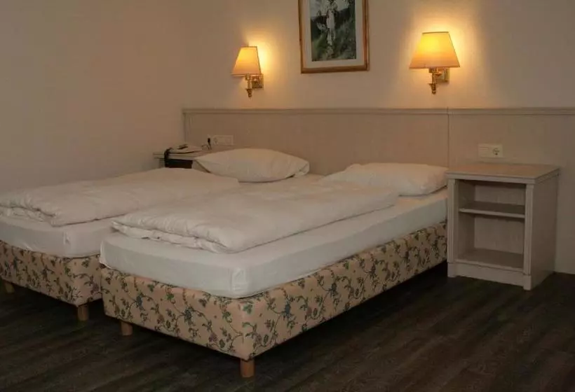 Fotos del hotel Messe Medici:  8