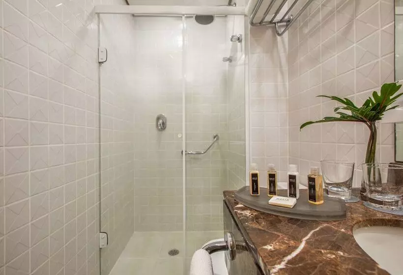 Fotos del hotel Tryp São Paulo Higienópolis:  8