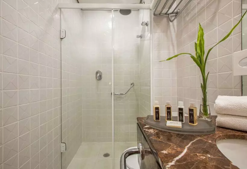 Fotos del hotel Tryp São Paulo Higienópolis:  4