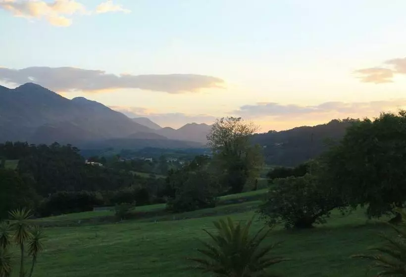 Fotos del hotel Don Silvio:  5