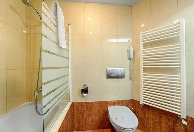 Fotos del hotel Duke Romana:  15