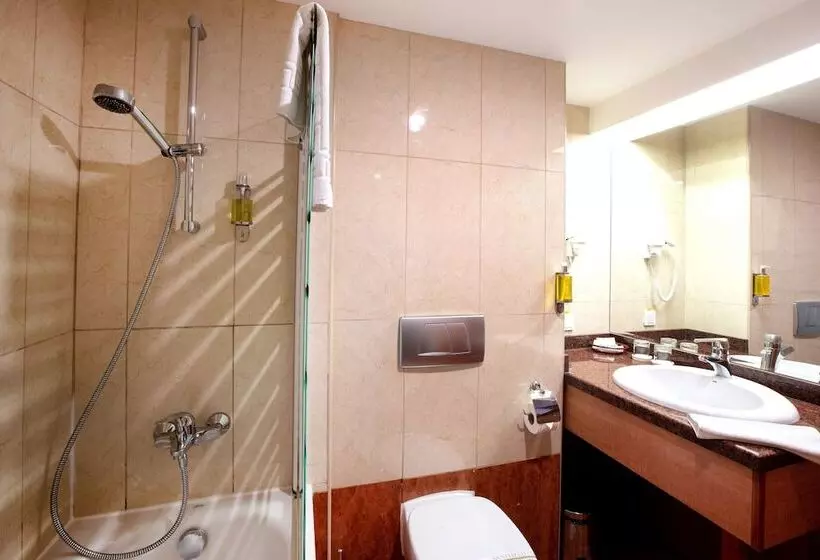 Fotos del hotel Duke Romana:  10