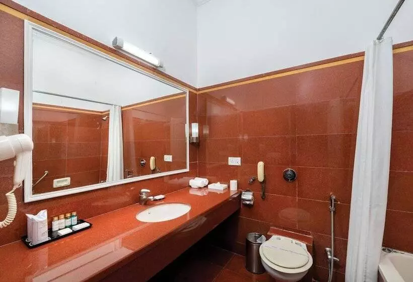 Fotos del hotel Rang Mahal:  17