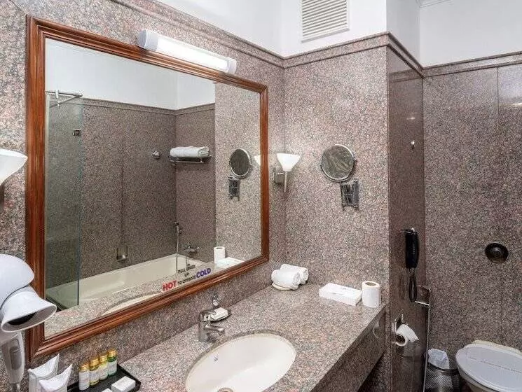 Fotos del hotel Rang Mahal:  15