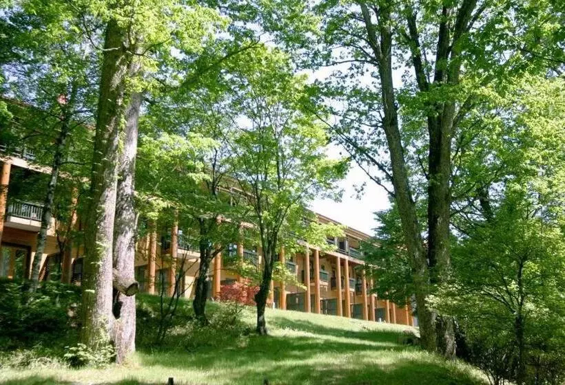 Fotos del hotel Chuzenji Kanaya:  18