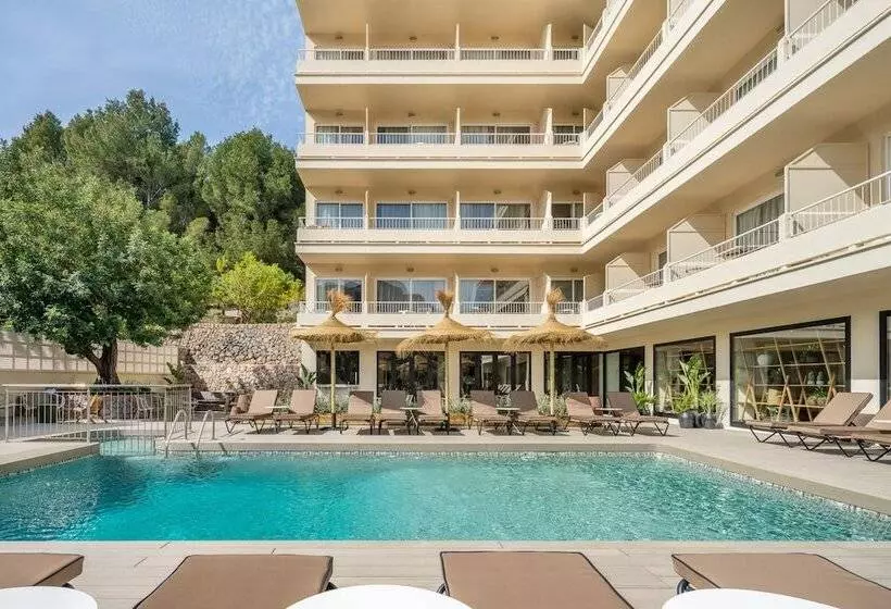 Fotos del hotel Eden Nord Soller:  10