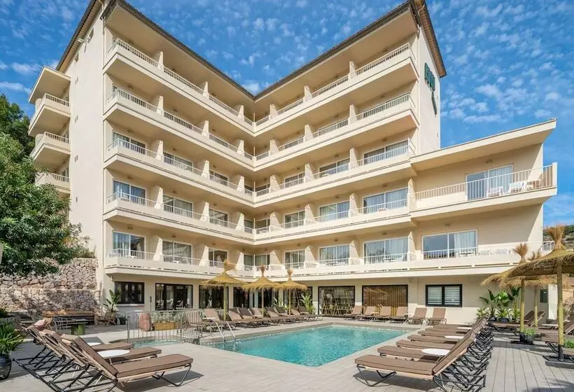 Fotos del hotel Eden Nord Soller:  16