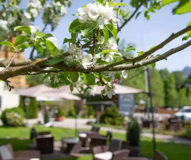 Fotos del hotel Försterhof:  20