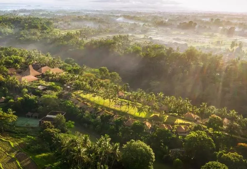 Fotos del hotel Maya Ubud Resort And Spa:  8