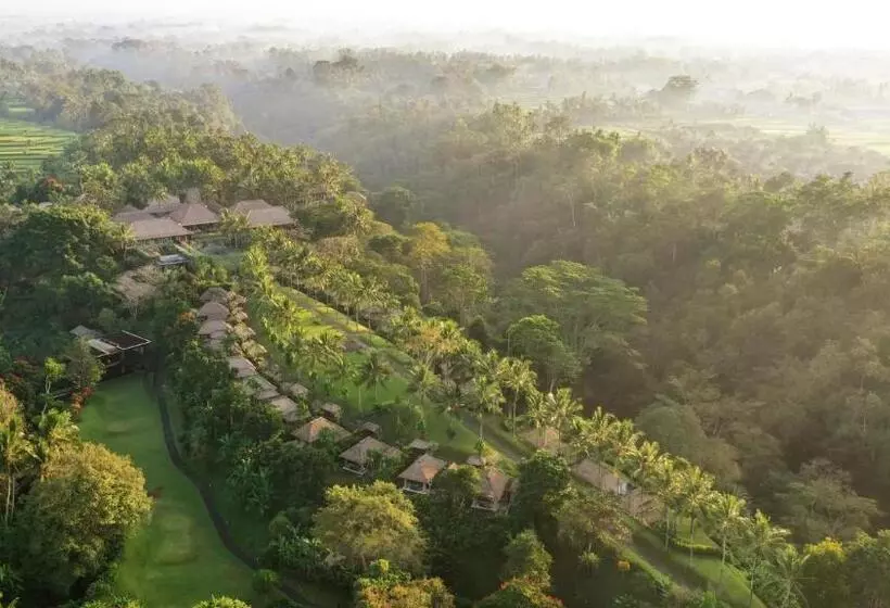 Fotos del hotel Maya Ubud Resort And Spa:  18