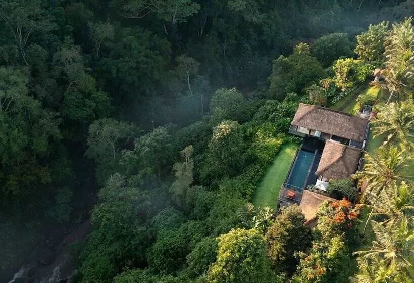 Fotos del hotel Maya Ubud Resort And Spa:  21