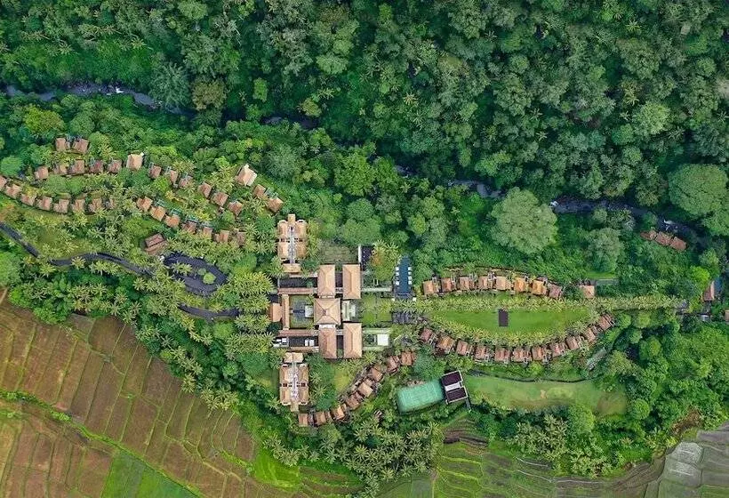 Fotos del hotel Maya Ubud Resort And Spa:  23