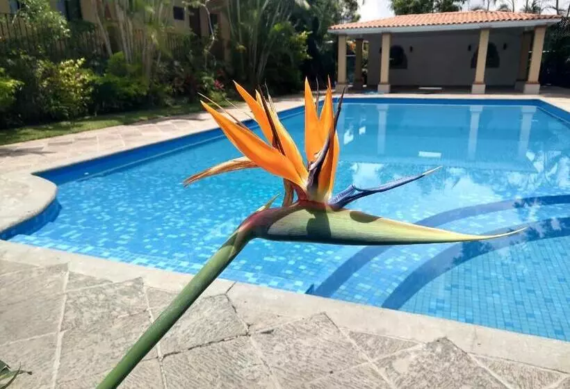 Fotos del hotel Hotel Spa Posada Tlaltenango:  19