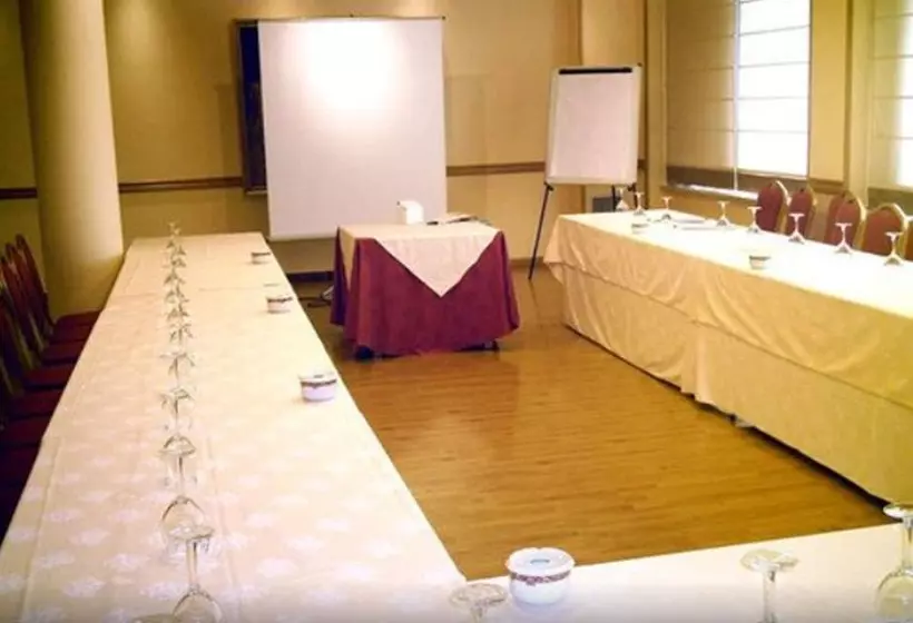 Fotos del hotel Villa De Benavente:  8