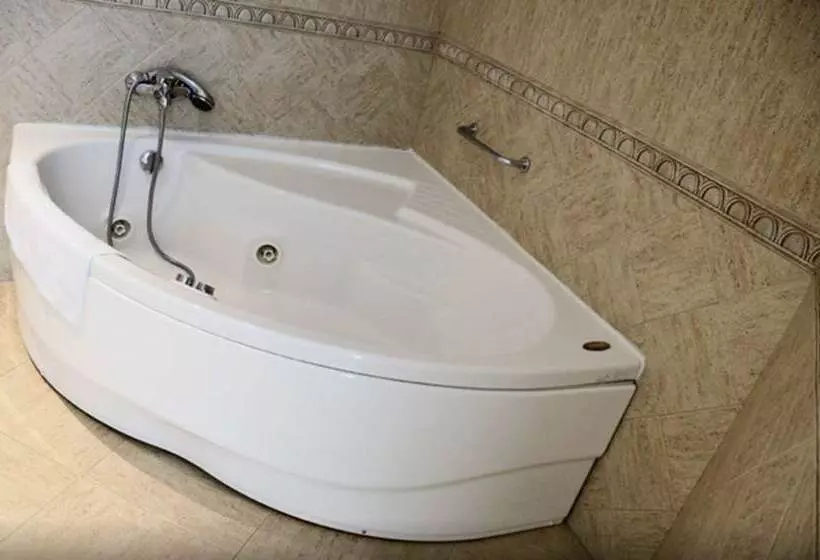 Fotos del hotel Villa De Benavente:  21