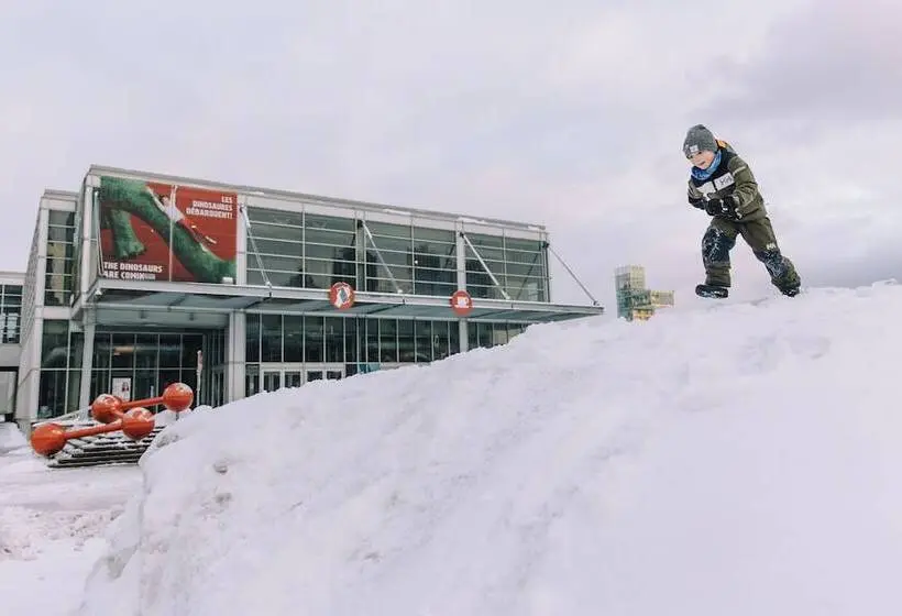 Fotos del hotel Springhill Suites By Marriott Old Montreal:  21