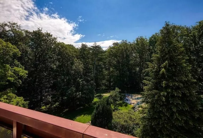 Fotos del hotel Lövér Sopron:  4