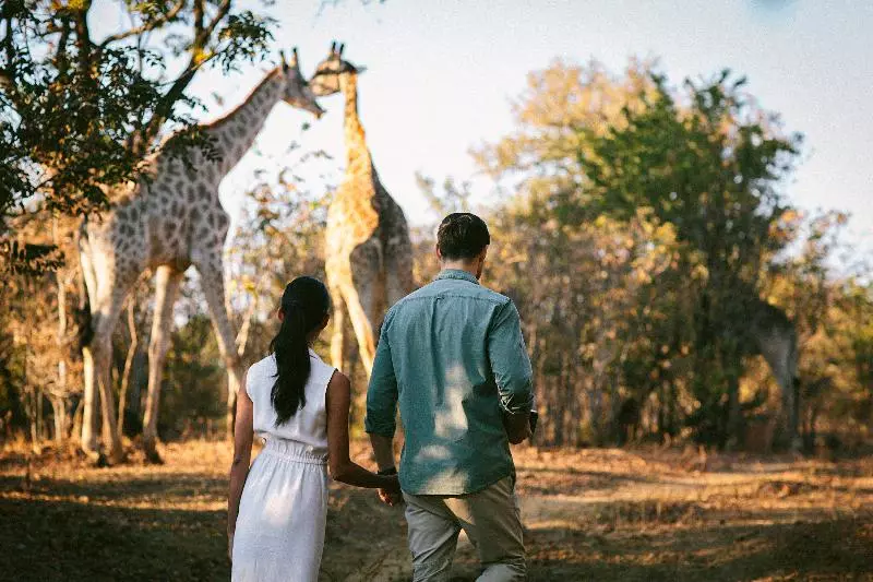 Fotos del hotel Royal Livingstone  By Anantara:  47