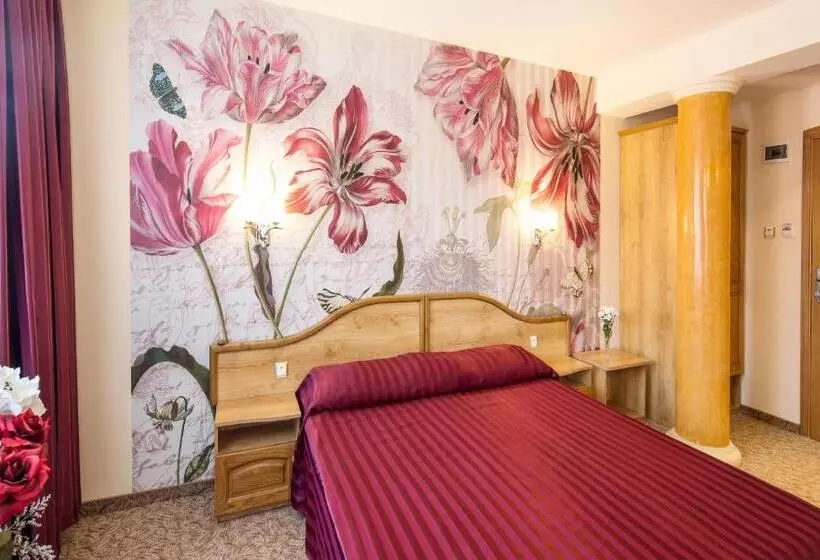 Fotos del hotel Dafi:  16