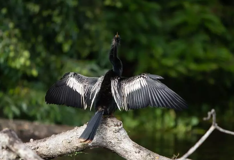 Fotos del hotel Pachira Lodge:  12