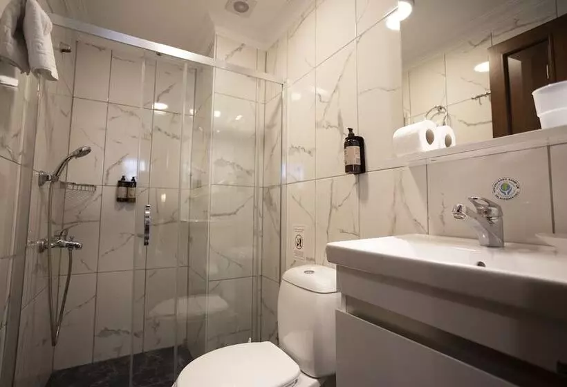 Fotos del hotel Tashkonak Istanbul:  10