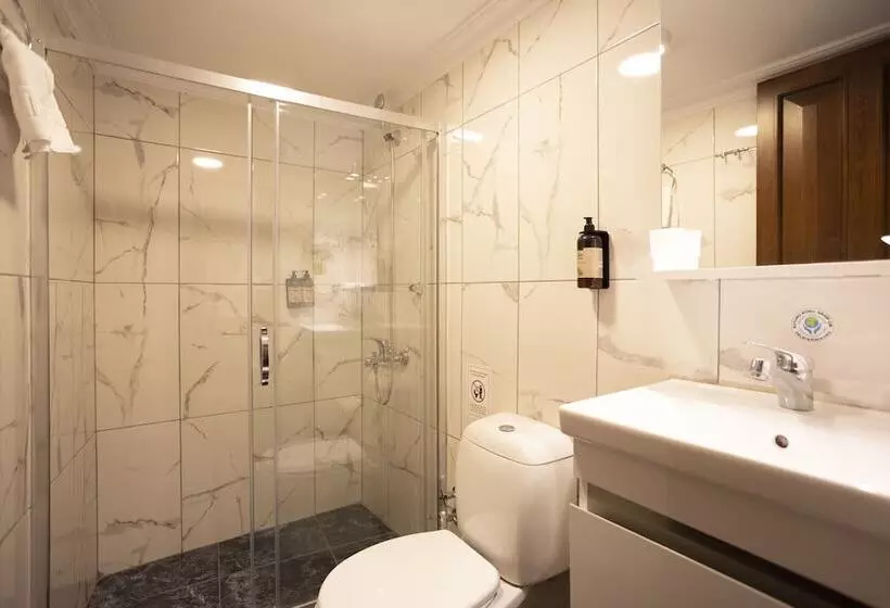 Fotos del hotel Tashkonak Istanbul:  15