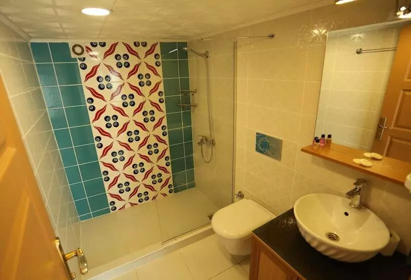 Fotos del hotel Tashkonak Istanbul:  19