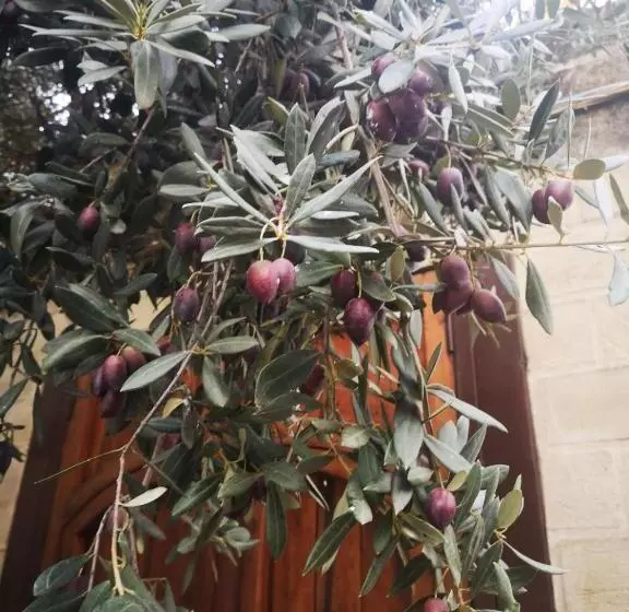 Fotos del hotel La Llave De La Judería Hotel Boutique:  6