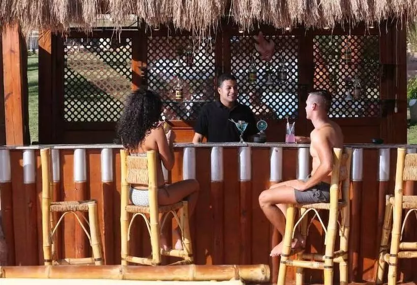 Fotos del hotel Dessole Holiday Taba:  6