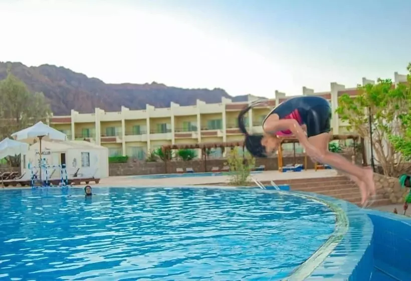 Fotos del hotel Dessole Holiday Taba:  5