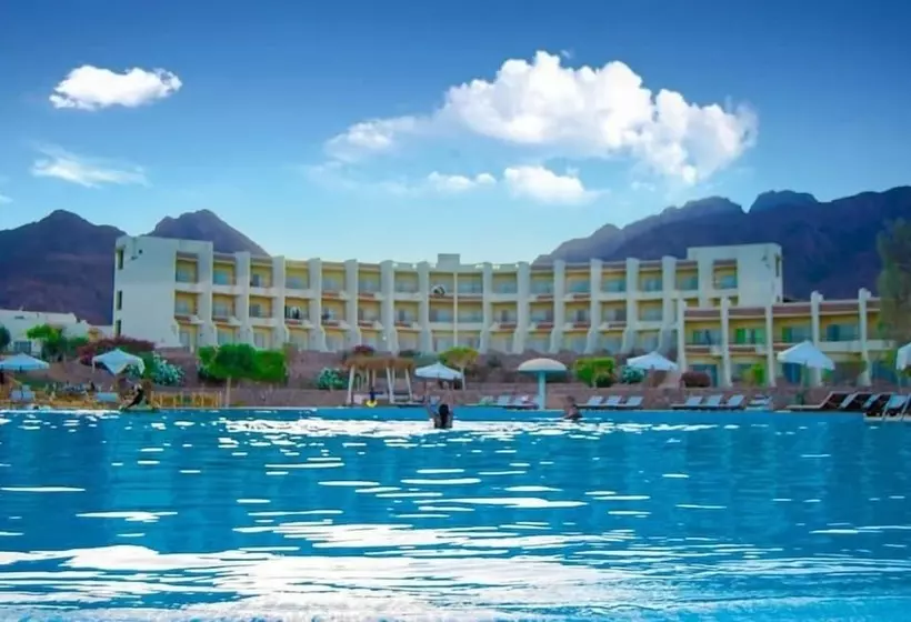 Fotos del hotel Dessole Holiday Taba:  10