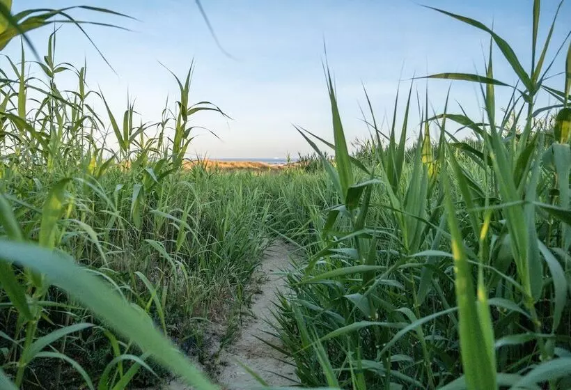 Fotos del hotel El Cortijo De Zahara:  7