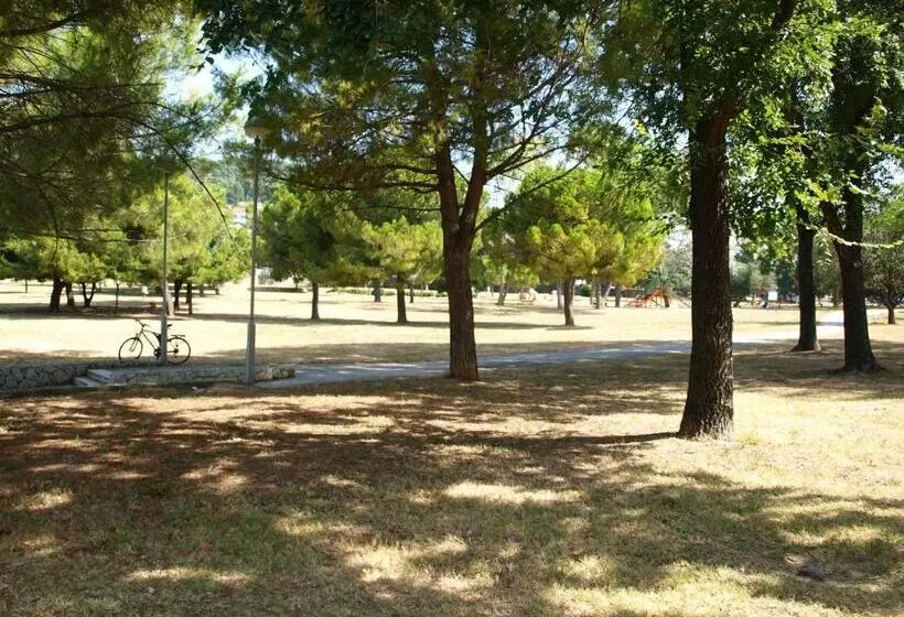 Fotos del hotel Jadran:  2