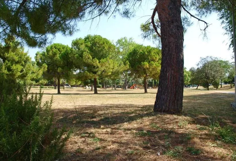 Fotos del hotel Jadran:  13